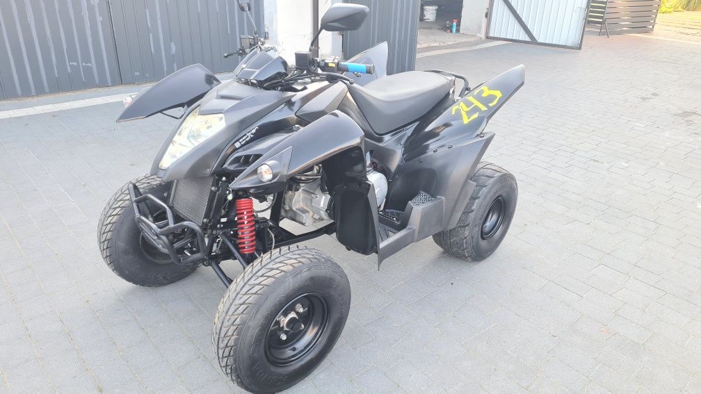 Adly 320 Access lucky star bashan shineray quad