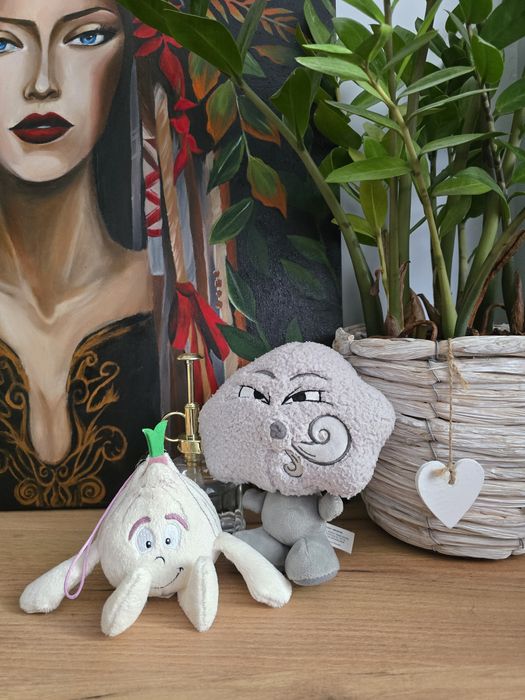 Zestaw 2 pluszaków maskotki Biedronka