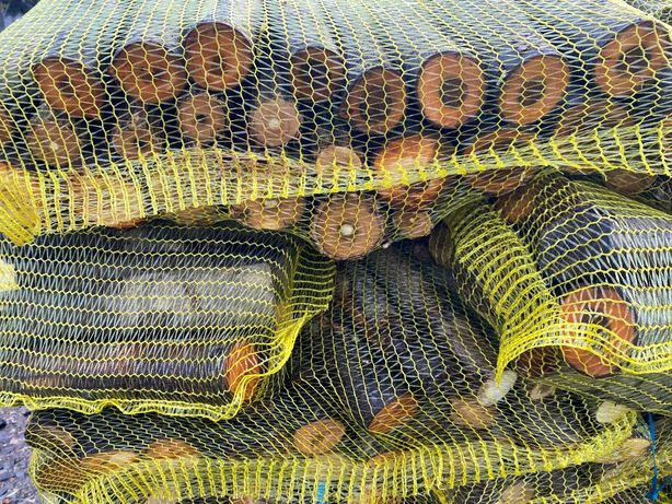 Drewno owocowe do wędzenia śliwa czereśnia
