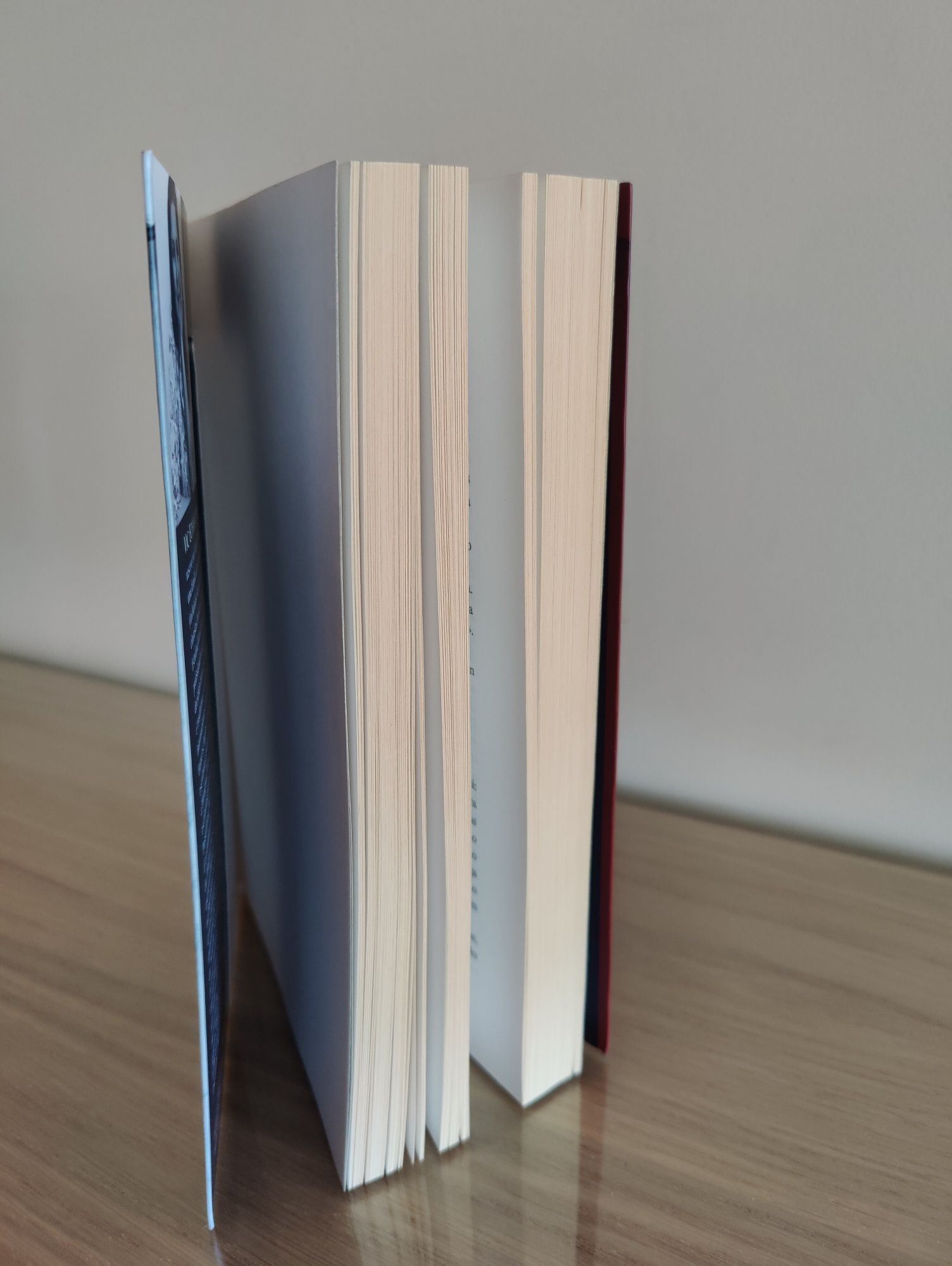 Livro Ressurrecta de Vic Echegoyen