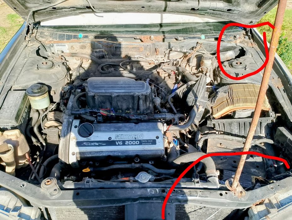 Продам на запчастини целяком Максиму(після дтп)а 32, 2.0 бензин, 2004г