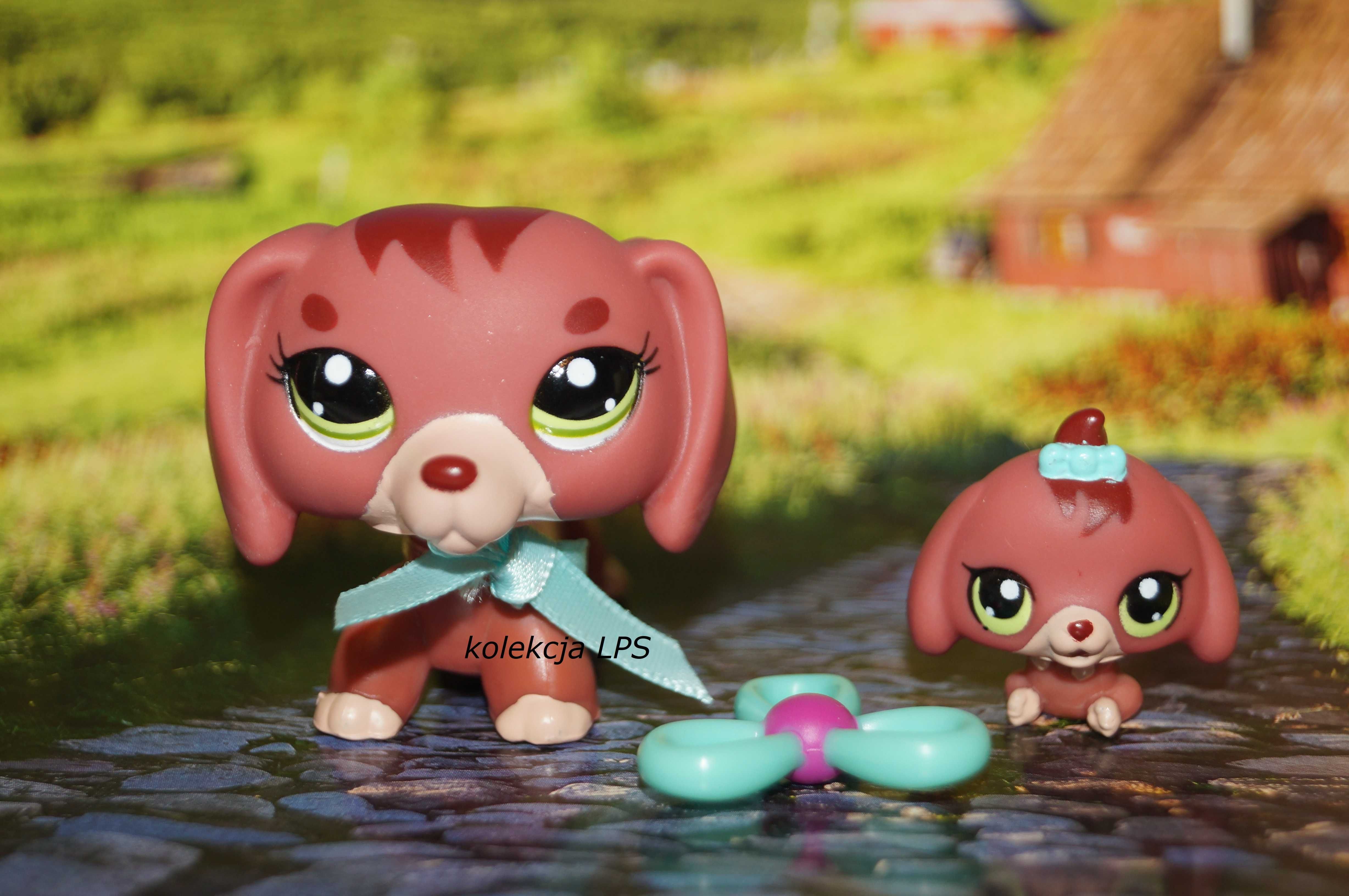 LPS Littlest Pet Shop jamnik #3601 #3602 oryginalny pop oryginał Iris