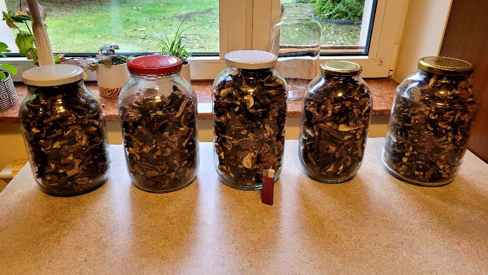 Grzyby suszone głównie podgrzybki ,prawdziwki i kozaki