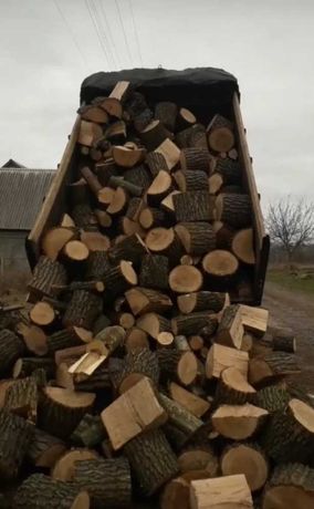 Продам дрова твердих порід дуб акація ясен!!!