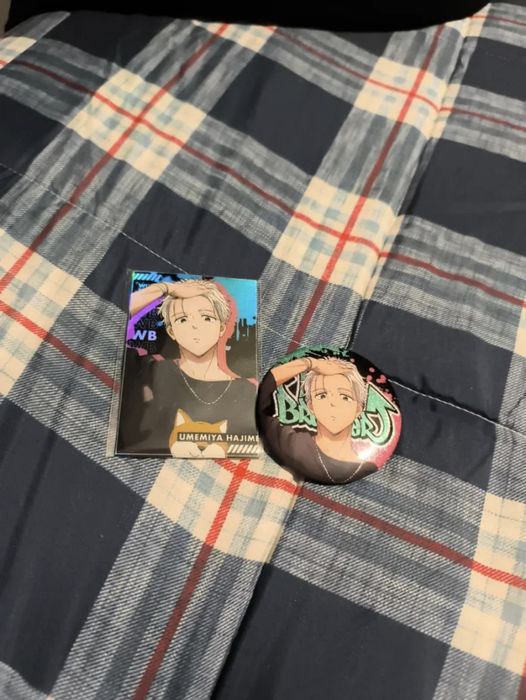 Wind Breaker: Pins e Cartões