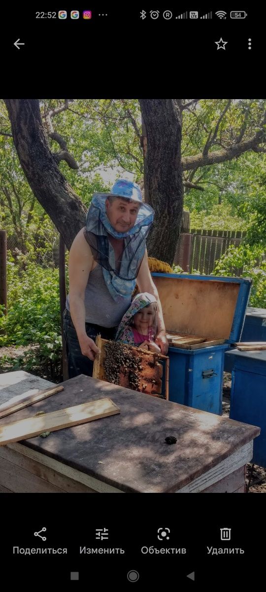 Натуральний мед акація, квітковий, липа, соняшник