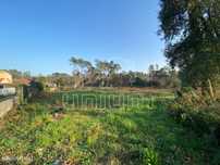 Terreno Vila Fria