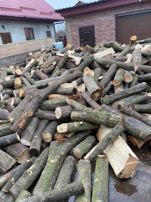 Дрова колоті бук, та інші тверді породи Ужгород