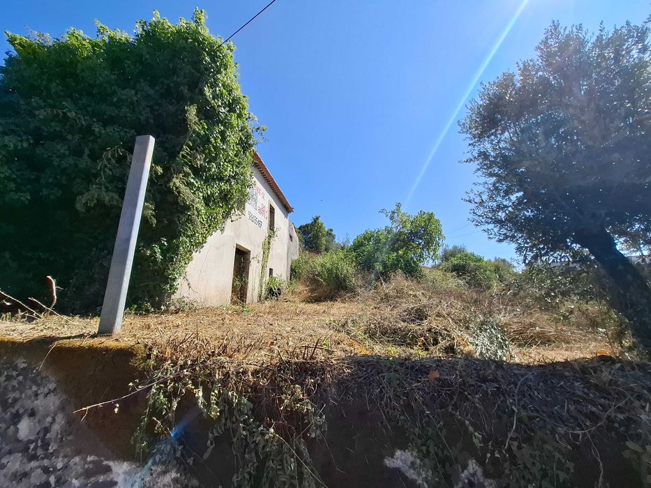 Quinta urbana (520m2) e rustica (26970m2) em Ceras / Tomar