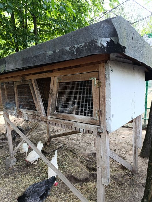 Клітка для кролів. Кролятник