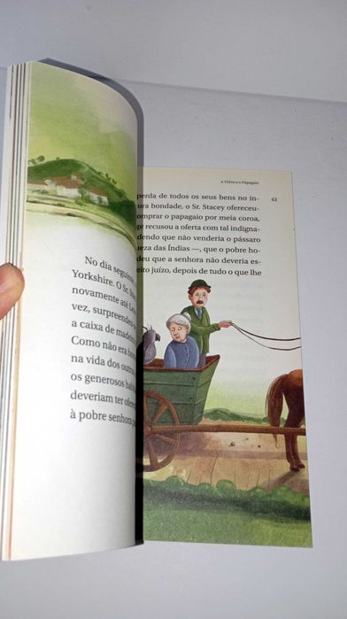 A Viúva e o Papagaio