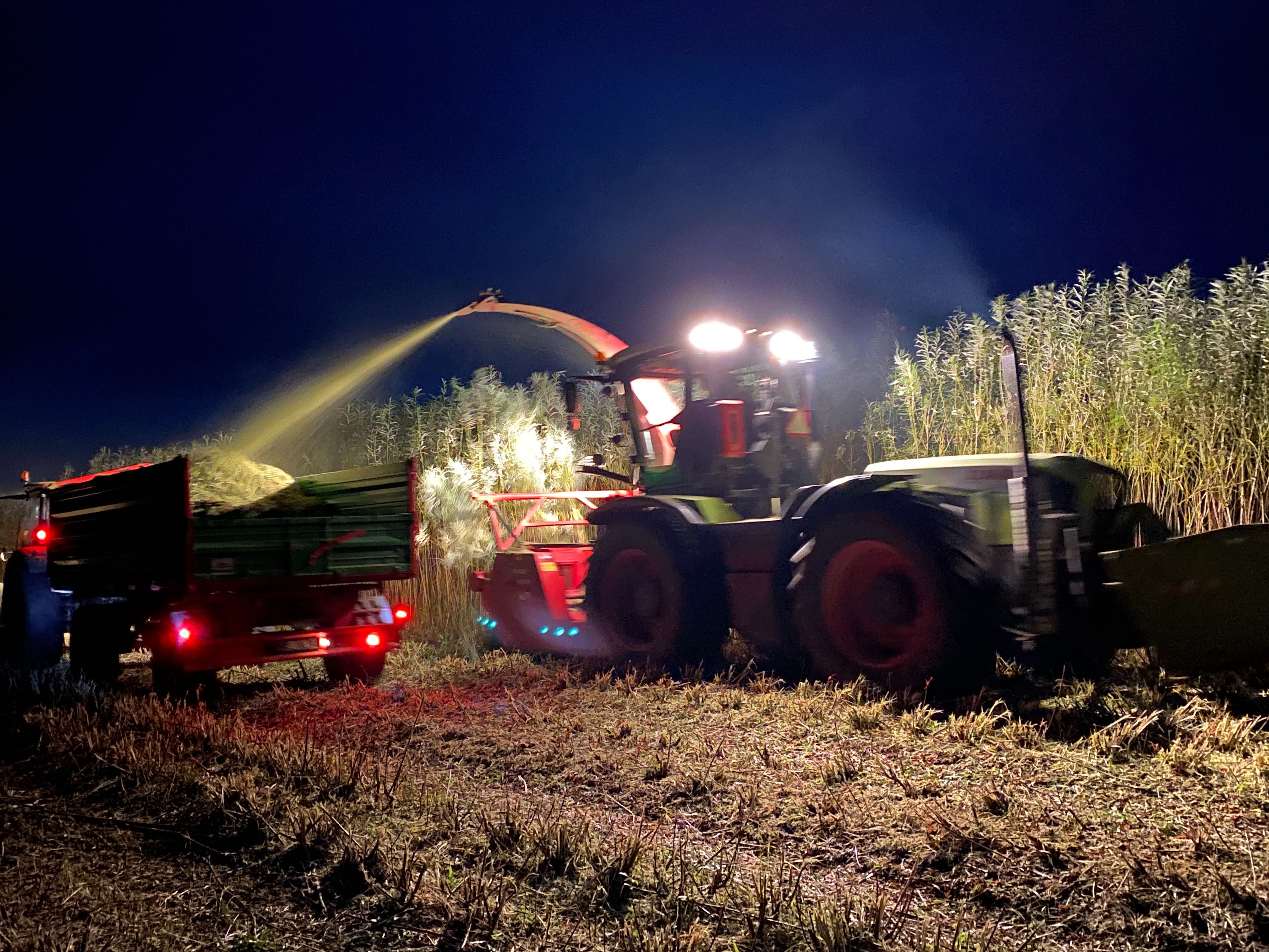 Likwidacja plantacji wierzby , usuwanie  zagajników ze zbiorem biomasy