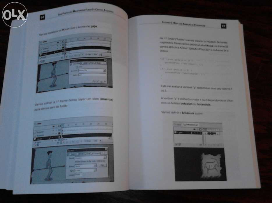 Programação Web - macromedia Flash 5-XML-animaçoes 3D-Sites