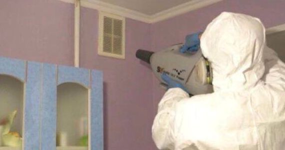 Дезодорация помещения от крыс и мышей уничтожение всех насекомых