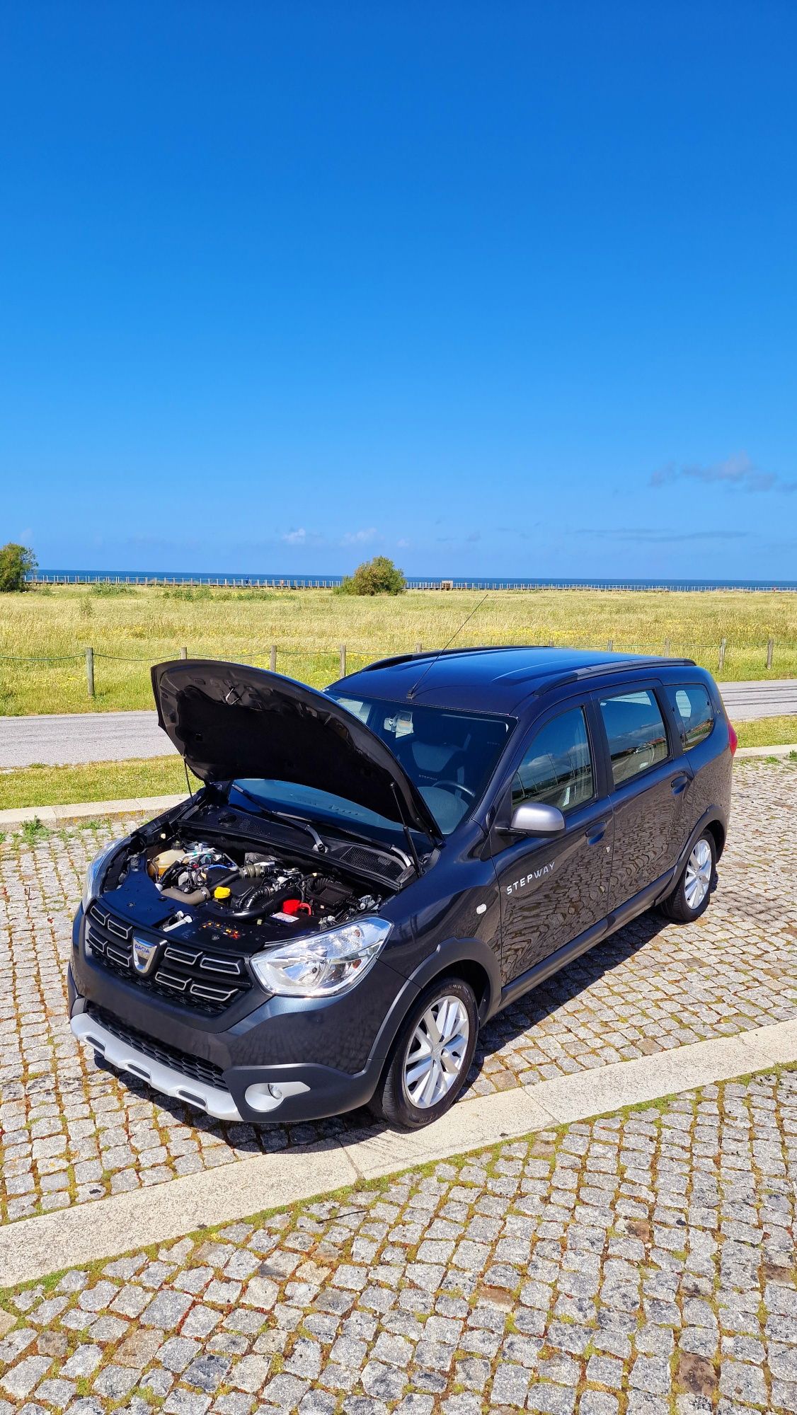 Dacia Lodgy 1.5DCI Stepway 7 lugares