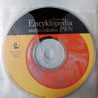 Encyklopedia multimedialna PWN: Geografia | na PC