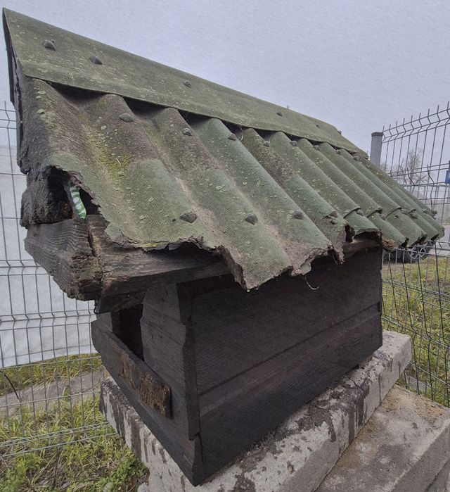 Buda dla psa - dach do wymiany