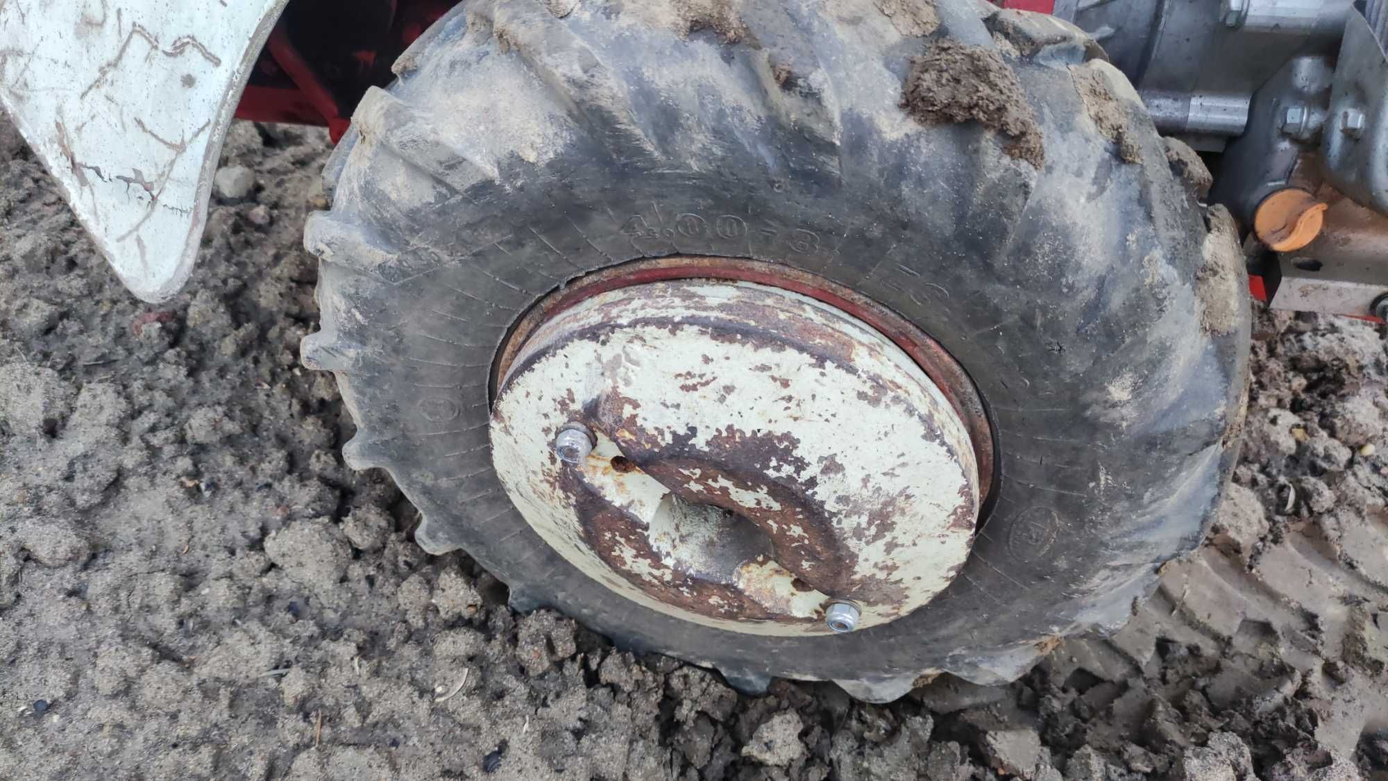Dzik, traktorek jednoosiowy Mf70.