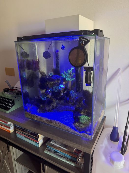 Aquario fluval edge 42litros