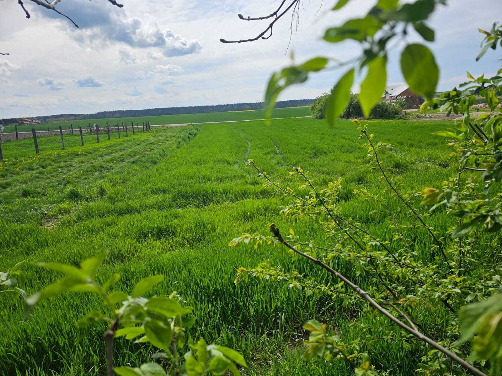 Sprzedam dom Milanów