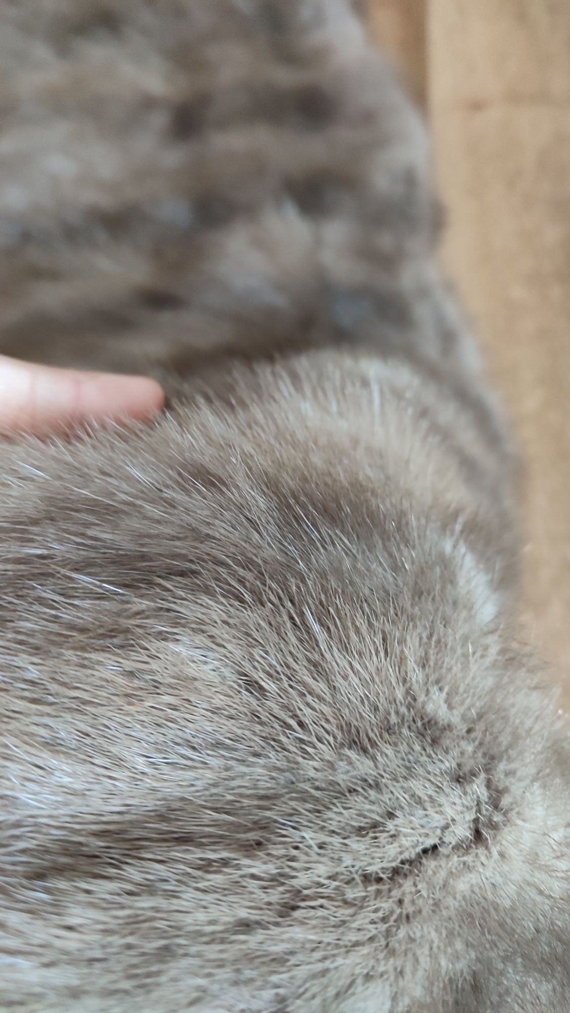 Szal futro prawdziwe lis nutria