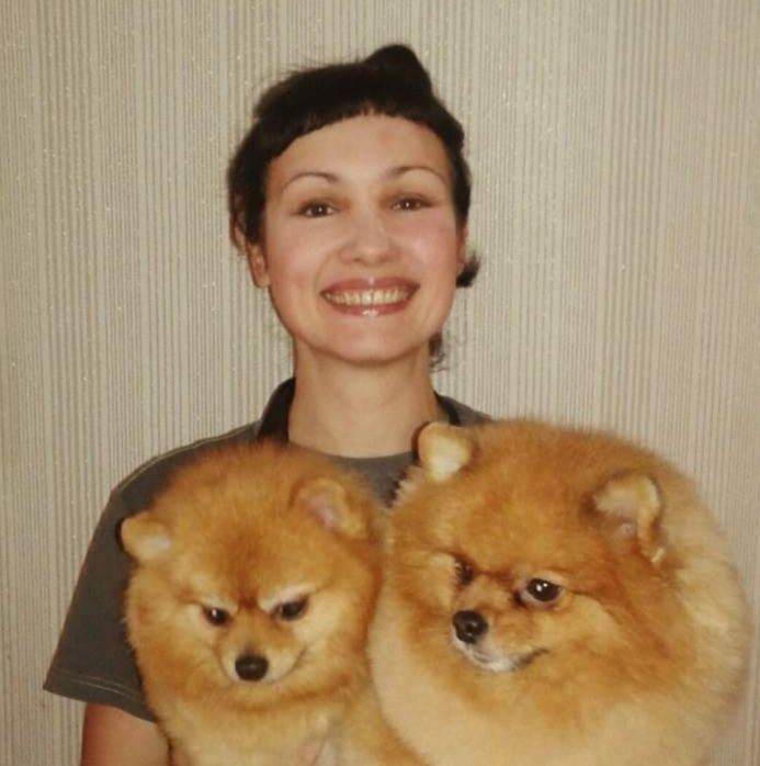 Стрижки котов и собак