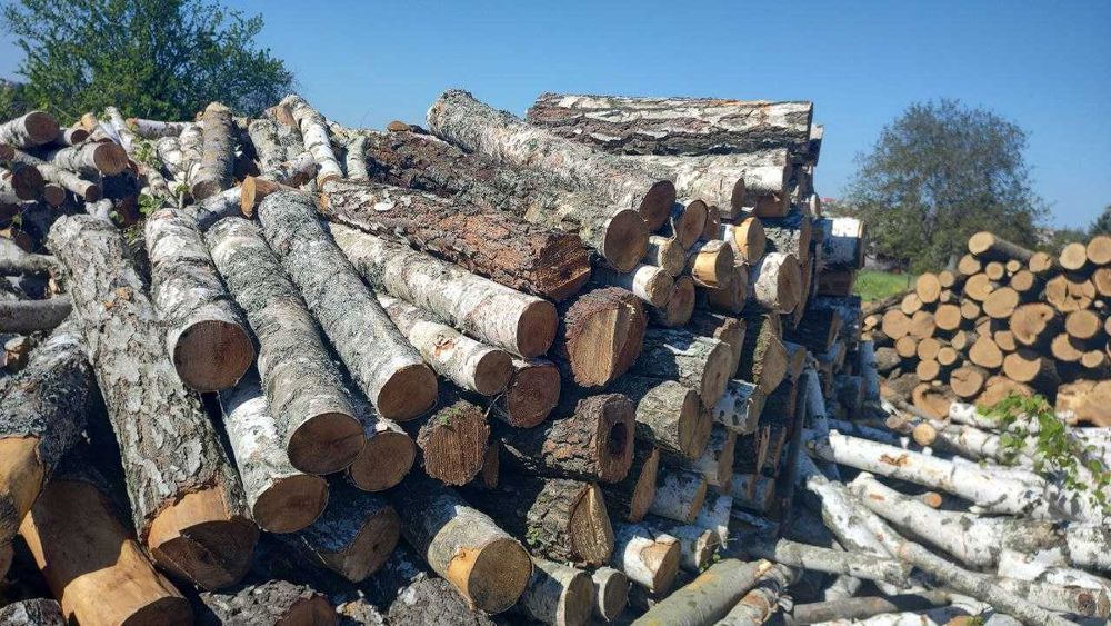 Дрова з берези з безкоштовною доставкою по Одесі та області!