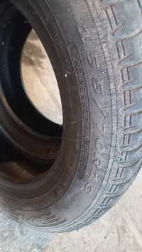 Opony dębica 155/70r13