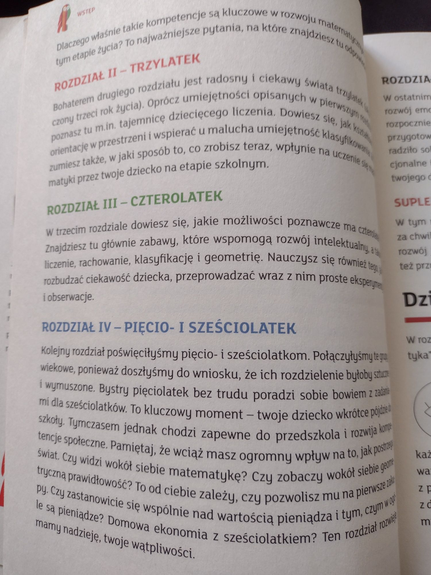 Dziecinnie prosta matematyka jak nowa