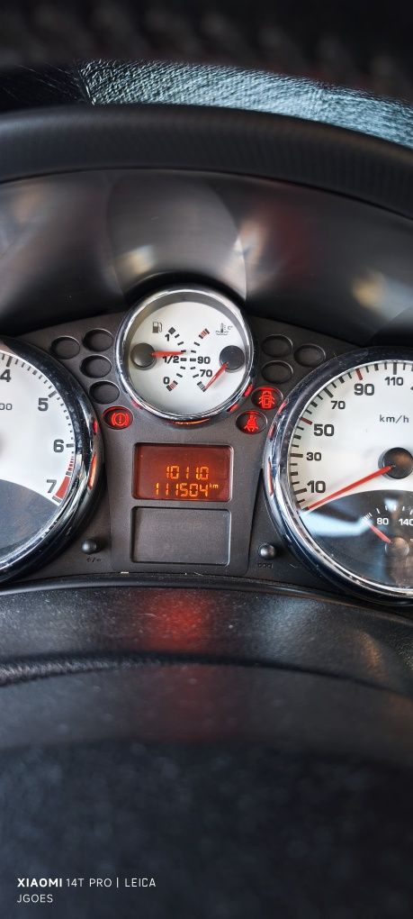 Peugeot 207 Rally Nº 57/100 – Edição Limitada Certificada