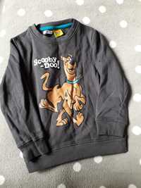 bluza Scooby Doo 122