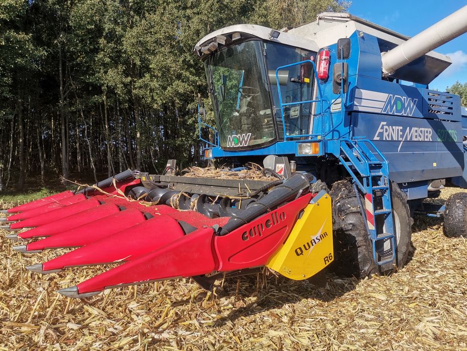 Koszenie Śrutowanie odbior z pola kukurydzy mielenie CCM Koszenie