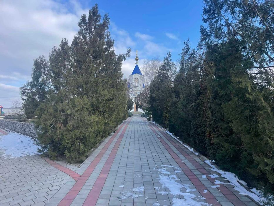 Одесса, ближайший пригород, жилой дом в центре села, на 25 сотках