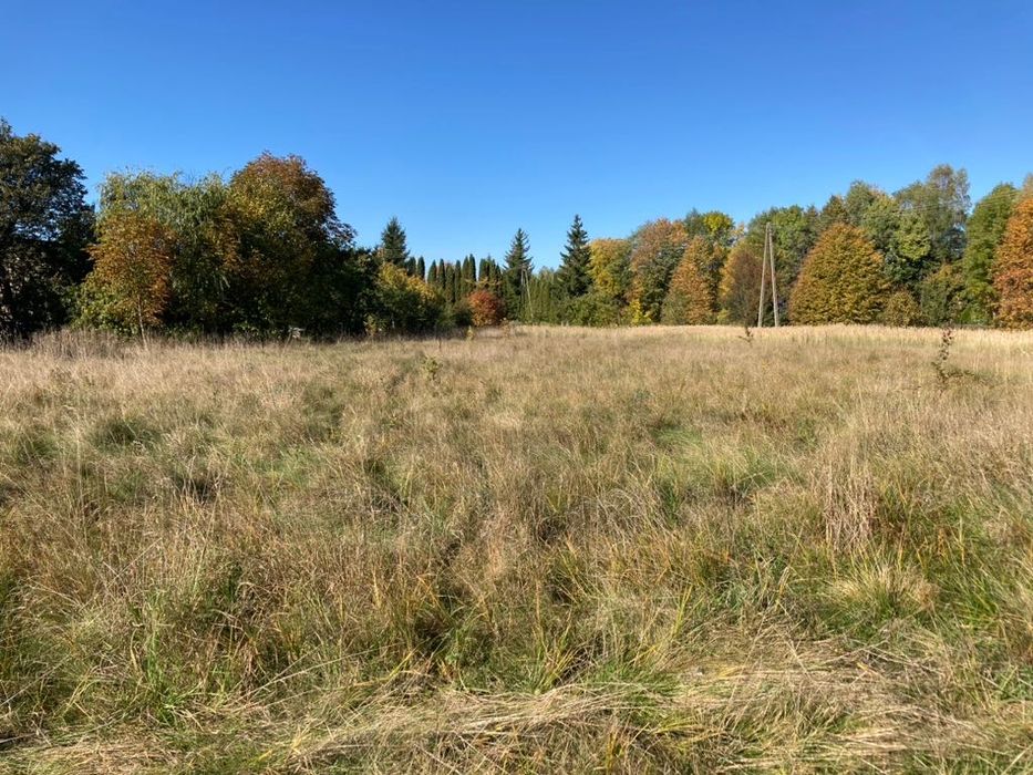 Działka 1,28 ha z częścią budowlaną i lasem • Rabinówka