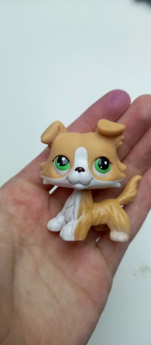 Lps collie #272 .