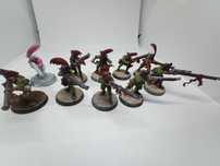 10x Handgunners Empire 3 Warhammer FB The Old World