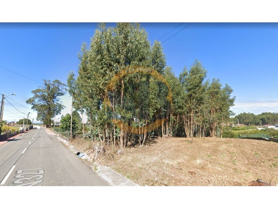 Terreno São João de Ovar