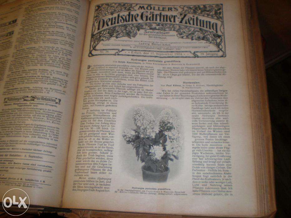 Stara Niemiecka Księga Ogrodnicza z 1904 Roku Antyk Unikat