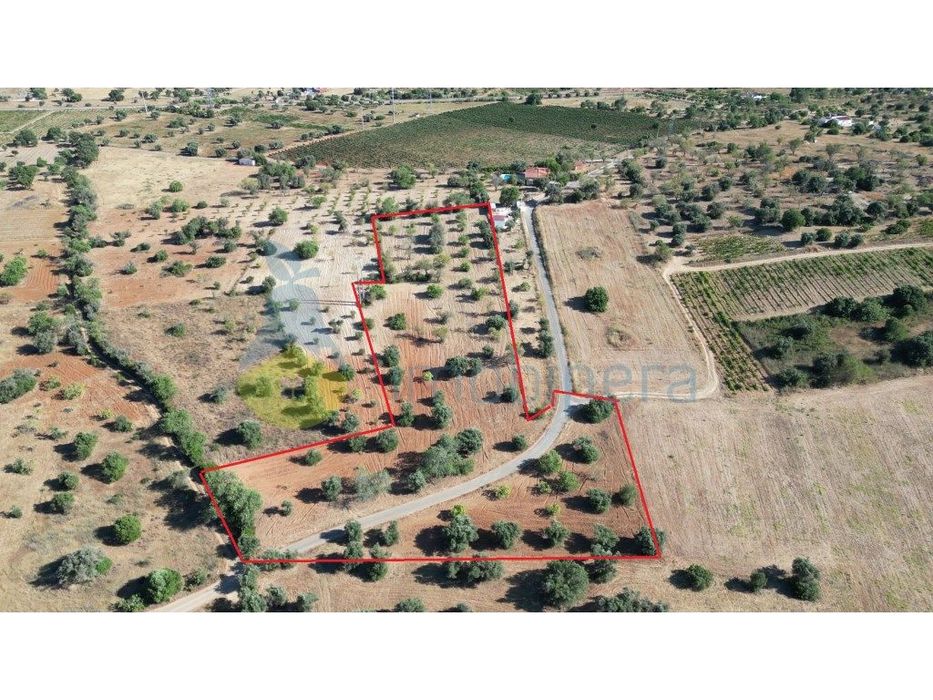 Terreno rústico para venda em Tunes