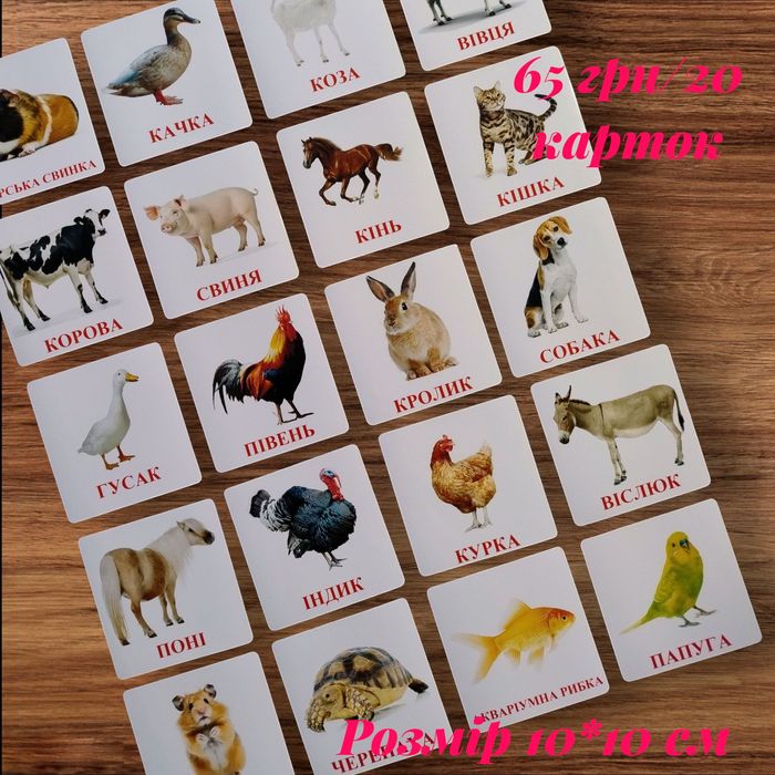 Картки Домана різних розмірів ламіновані