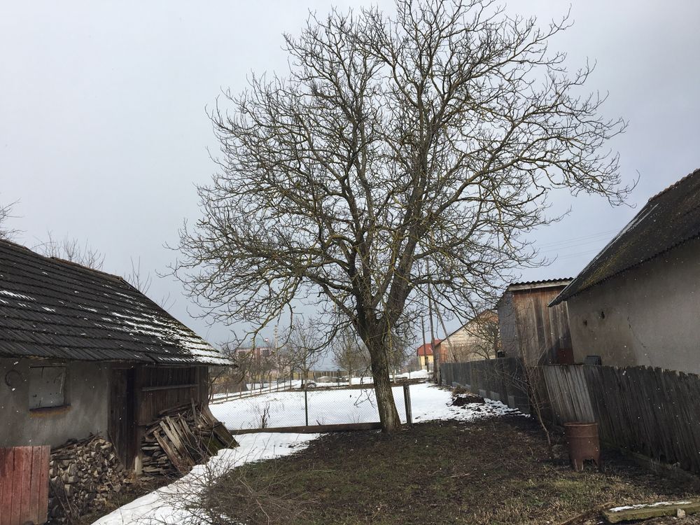 Будинок із землею