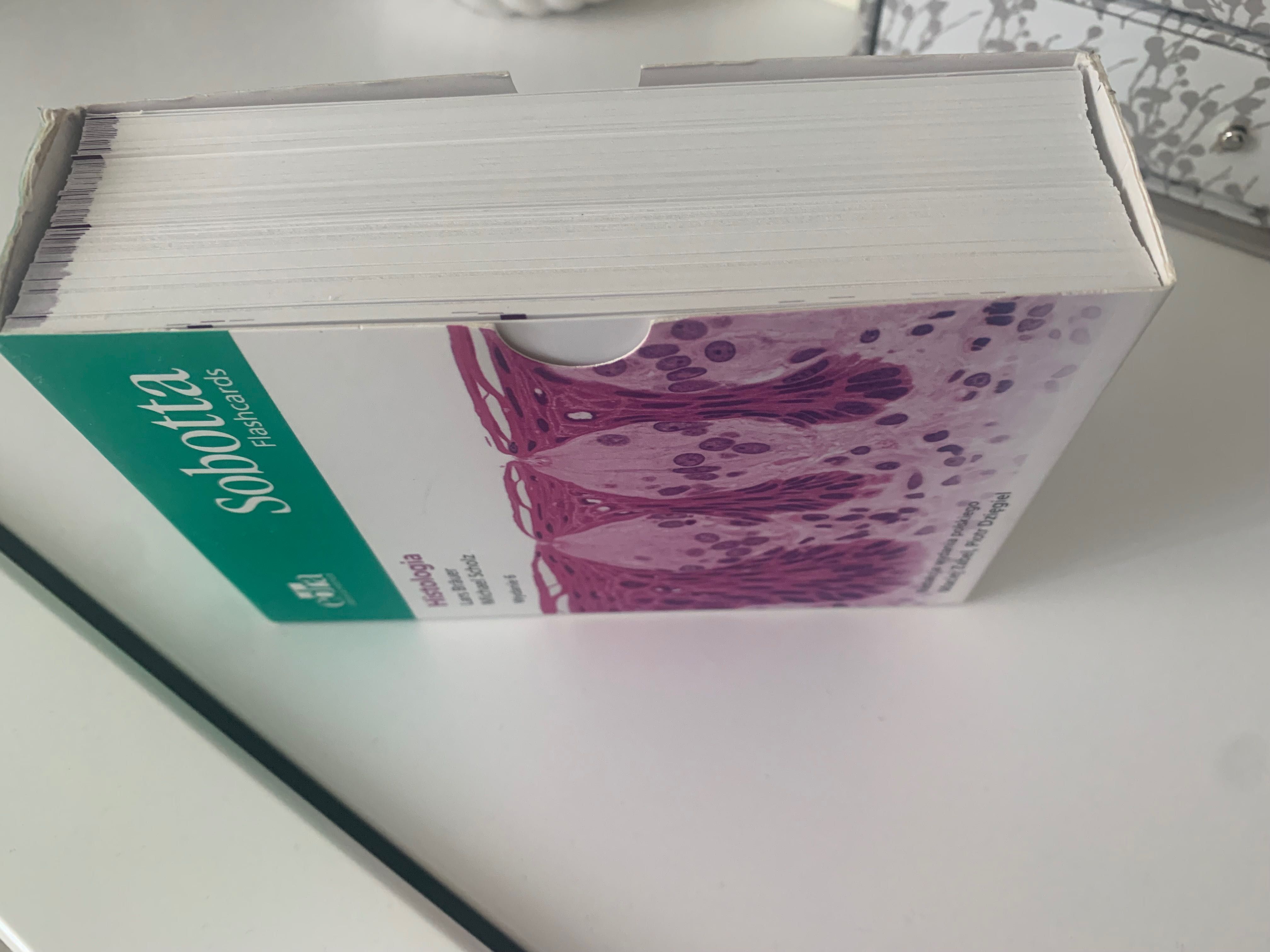 Fiszki Sobotta medycyna Histologia Flashcards