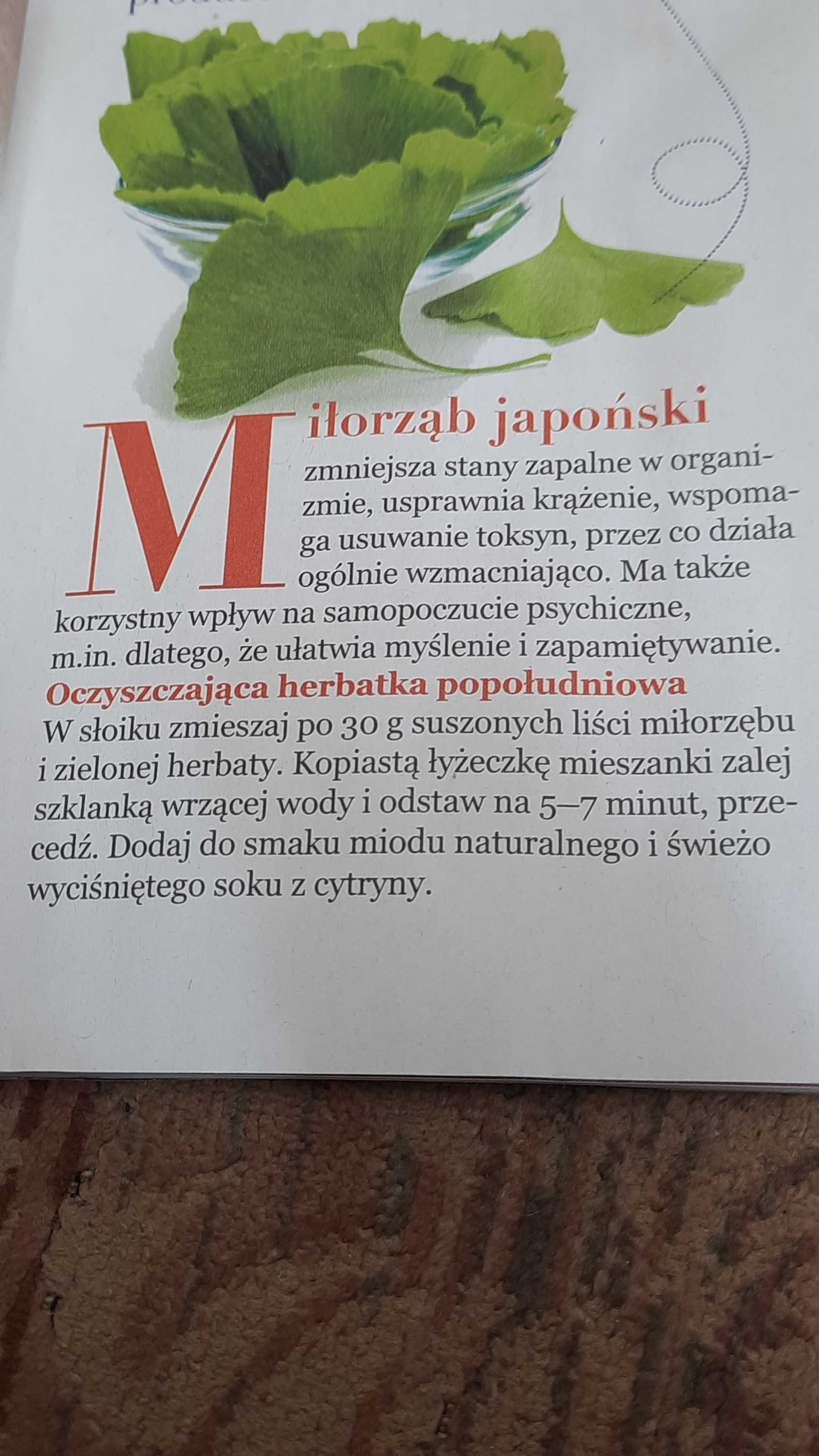 Suszone liście, glinkgo biloba miłorząb japoński.Porcja 0,25 kg.