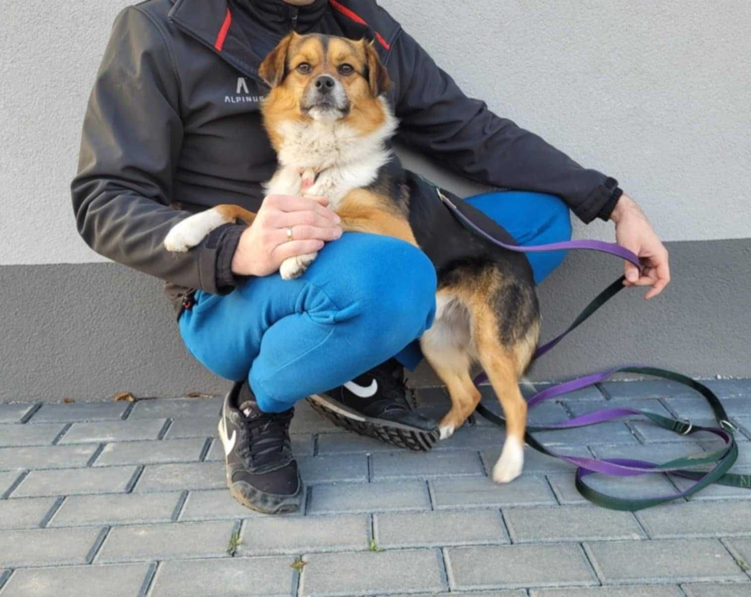 Podaruj dom cudnemu, fantastycznemu, kochanemu, cudnemu pieskowi