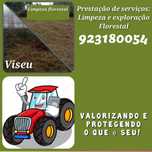 Limpeza de Terrenos