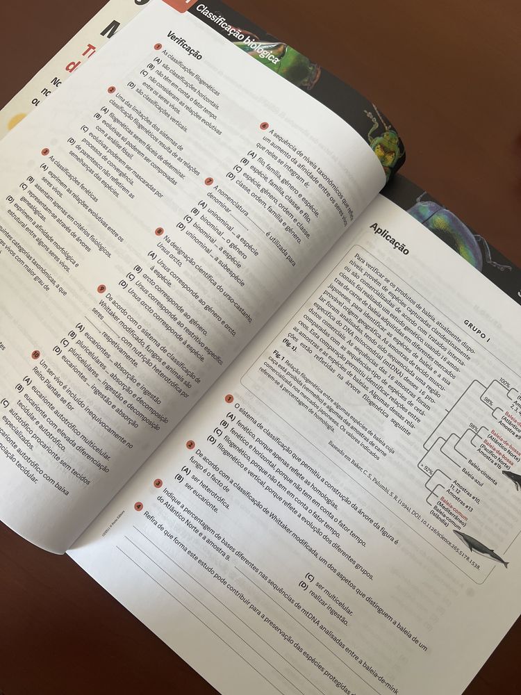 Cadernos de atividades de 5 disciplinas do 11 ano