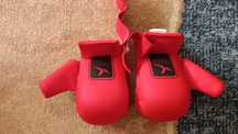 Luvas e caneleiras artes marciais