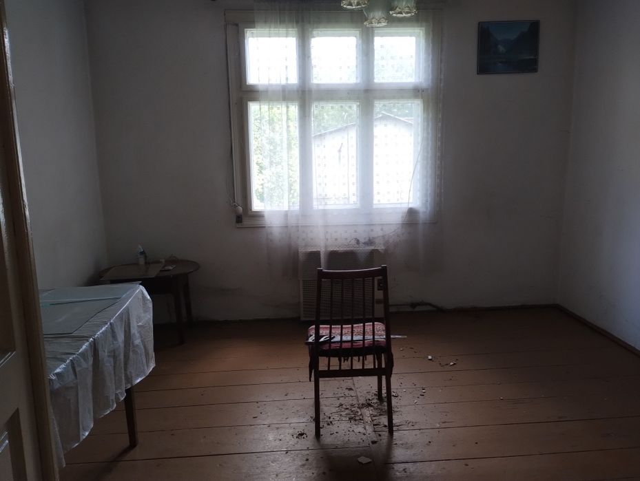 Будинок в Карпатах ( місто Косів)