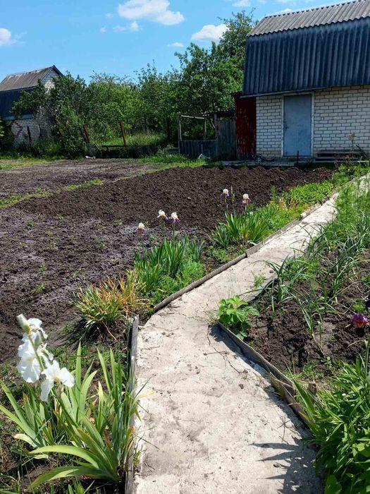Продам дачу в Барашевському масиві