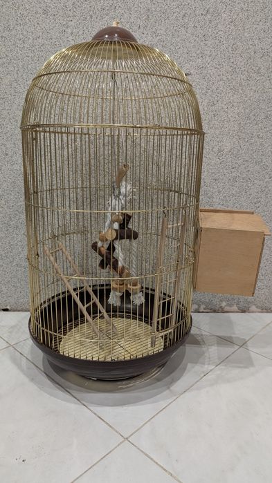 Простора Клітка для папуг